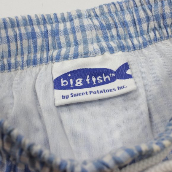 Big Fish Blue Gingham Boat Shorts, 6M - Picture 4 of 5